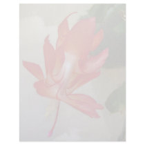 Christmas Cactus Letterhead