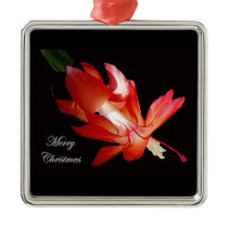 Christmas Cactus Merry Christmas Ornament