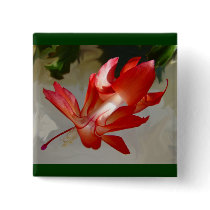 Christmas Cactus Merry Christmas Series Button