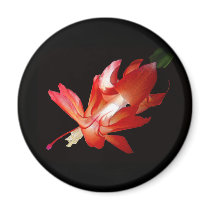 Christmas Cactus Merry Christmas Series Fridge Magnets