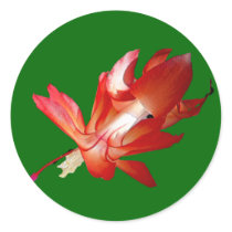 Christmas Cactus Merry Christmas Series Stickers