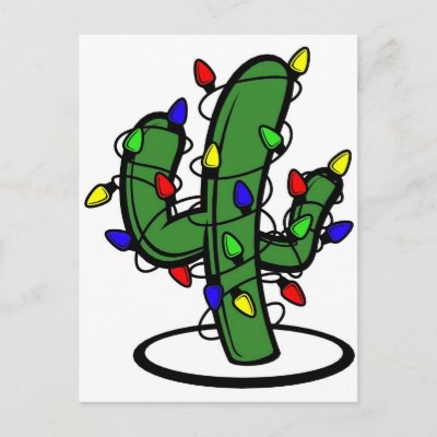 Christmas Cactus postcards
