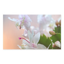 Christmas Cactus Rectangular Stickers