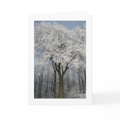 Christmas cards