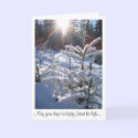 Christmas Card