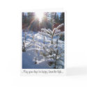 Christmas Card by Andici Christmas Card