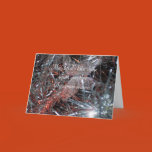christmas, gods, love, aluminum, tree, card