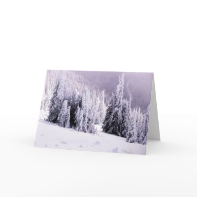 Christmas Card by gbcimages3