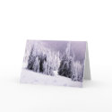 Christmas Card by gbcimages3 Christmas Card