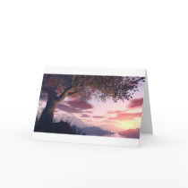 Christmas cards