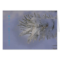 Christmas card cards