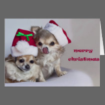 Christmas Card cards