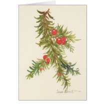 Christmas Card 09CCS2-4 cards