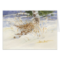 Christmas Card 09CCS2-7 cards