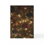 Christmas Card 2009