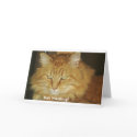Christmas Card: Bah Humbug by TocMom Christmas Card: Bah Humbug