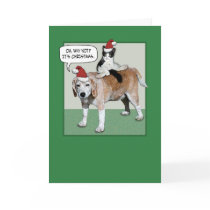 Christmas card: Dog and cat