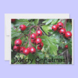 Christmas card invitations