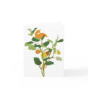 Christmas card Partridge in a Pear Tree card