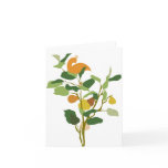 Christmas card Partridge in a Pear Tree