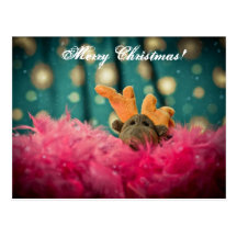 Christmas Card Postcards