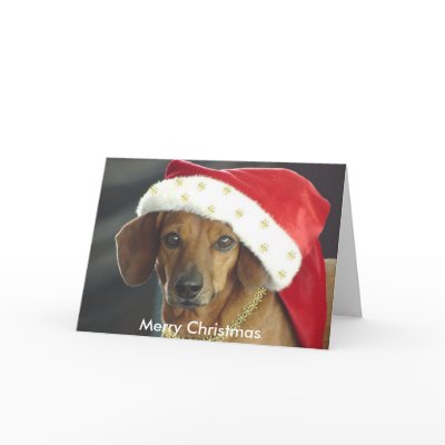 Christmas Card - Santa Dachshund by KAWProducts