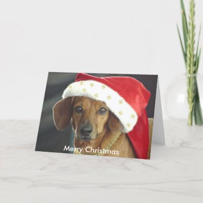 Christmas Card - Santa Dachshund