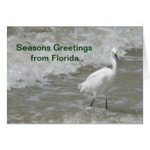 Christmas Card - Seasons Greetings from Florida -