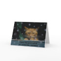 Christmas Card 'Shred rhe Reindeer'