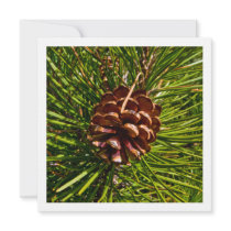 Christmas Card Square Panel Pine Cone Photo invitations