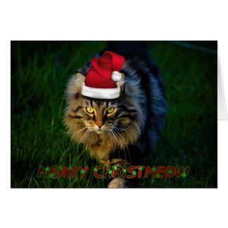 Christmas card xmas Christmas animal kitty cat