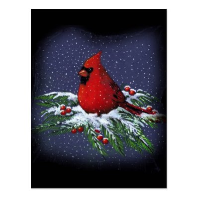 CHRISTMAS CARDINAL: BIRD: ART: SNOW POSTCARDS
