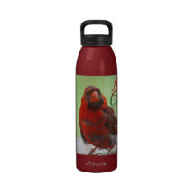 Christmas Cardinal Bird Picture Reusable Water Bottles