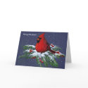CHRISTMAS: CARDINAL: BIRD: SNOW: CARD by joyart CHRISTMAS: CARDINAL: BIRD: SNOW: CARD