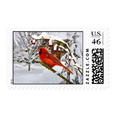 Christmas,  Cardinal Bird, Snow, Postage Stamp