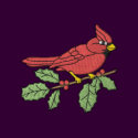 Christmas Cardinal embroidered shirts