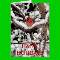 Christmas Cardinal Holiday Cards cards