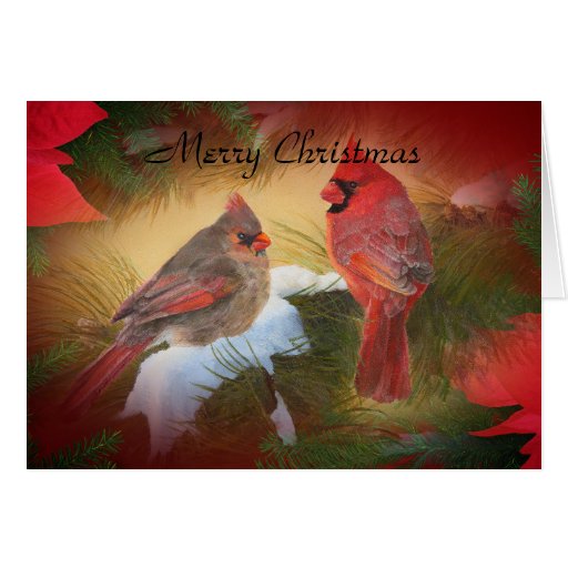 Christmas cardinals card Zazzle