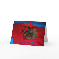 Christmas Cards