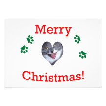 Christmas Cat Announcement