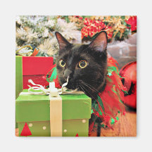 Christmas - Cat - Bentley Magnets