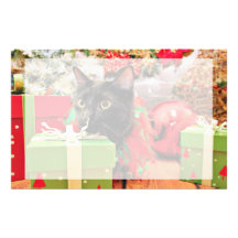 Christmas - Cat - Bentley Stationery