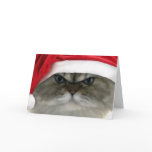 Christmas cat cards
