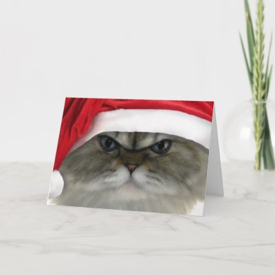 Christmas cat cards