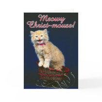 Christmas Cat cards