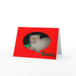 christmas cat greeting cards