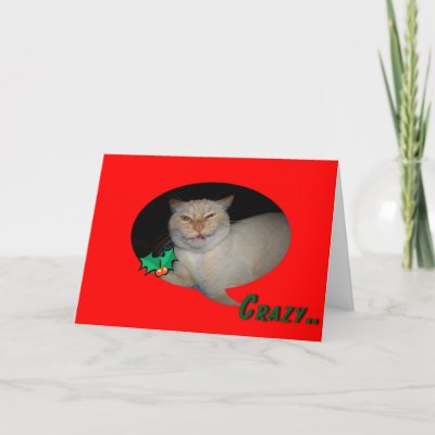 christmas cat cards