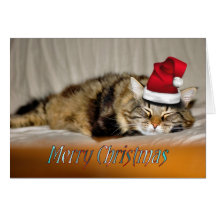 Christmas cat Christmas kitty cat xmas animals Greeting Cards