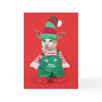 Christmas Cat Elf cards by knichols1109 Christmas Cat Elf cards