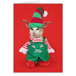 Christmas Cat Elf Cards